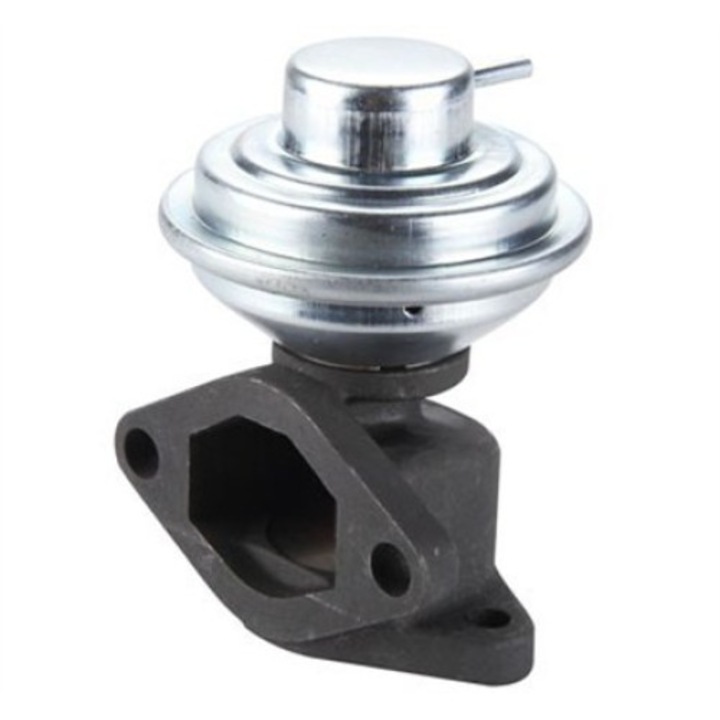 Renault Laguna I EGR szelep