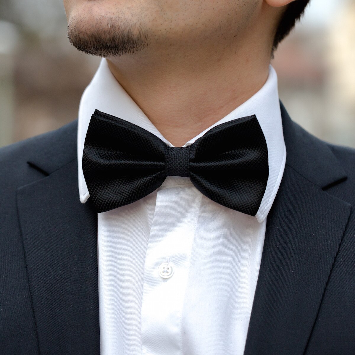 Papion negru cu striatii