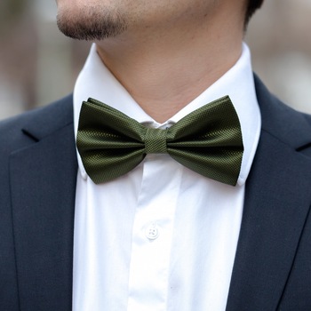 Papion verde inchis cu striatii Papion verde inchis cu striatii