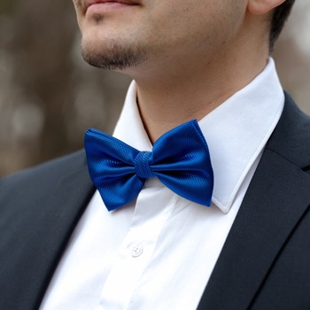 Papion albastru cu striatii Papion albastru cu striatii