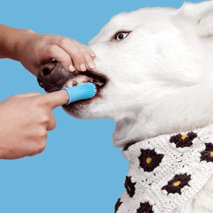 Periuta de dinti, tip degetar 360°, pentru animale de companie, caine, pisica, Empria, silicon moale, Bleu