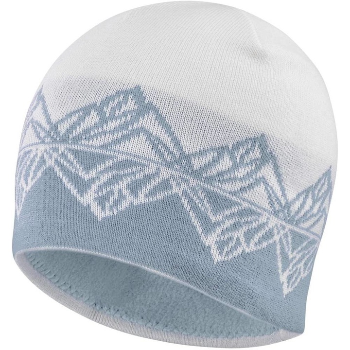 Caciula de iarna Salomon