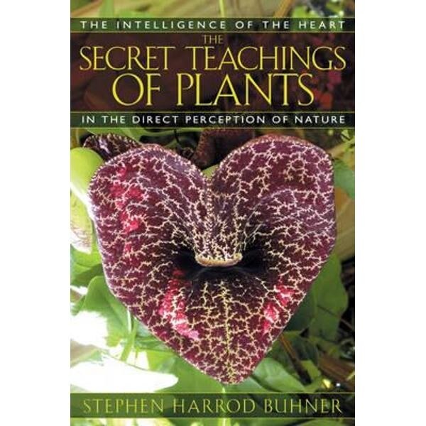 Secret Teachings of Plants