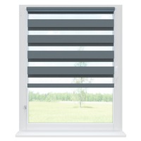 Jaluzea Zi si Noapte, Rena, Poliester, Functie MultiStop, 30x150 cm, Gri grafit