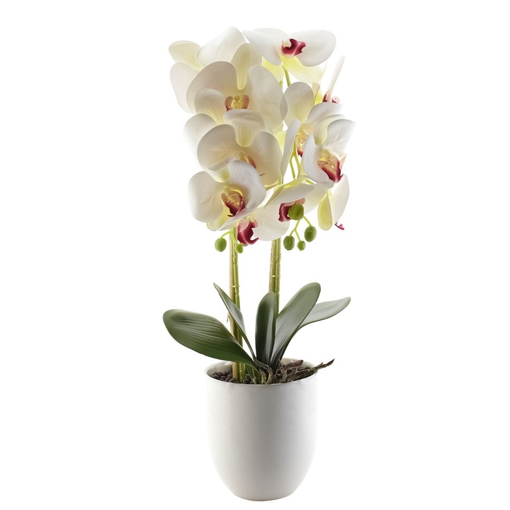 Orhidee cu aspect natural in ghiveci ceramic, 53 cm, Naimeed D4846, Alb