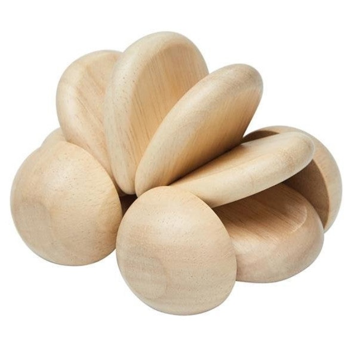 Jucarie bebelusi, PlanToys, Lemn, Maro