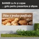 Banner MEDIA, "Pékség" modell 1, 150 x 60 cm