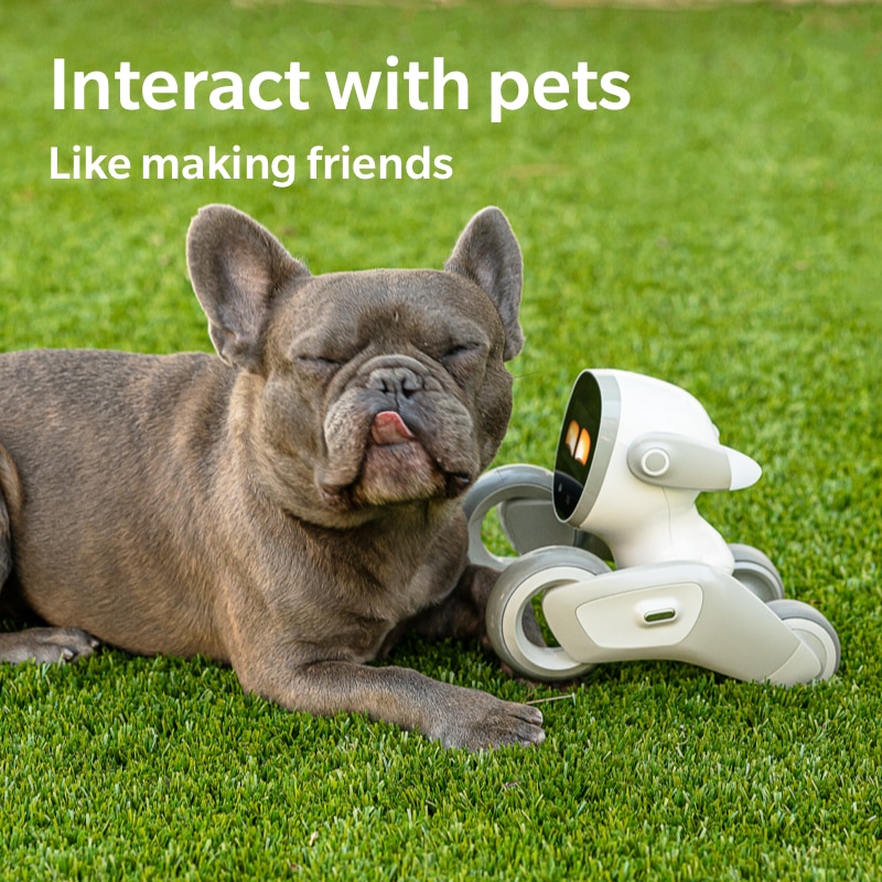 Loona The PETBOT & アクセサリーセット Loona Intelligent AI PETBOT - www.newtechstore.eu Buy Loona