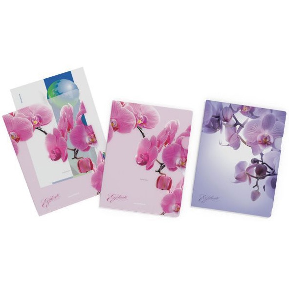 Folie Protectie Documente Ek, A4, Deschidere L 4/Set, Romantique/BL