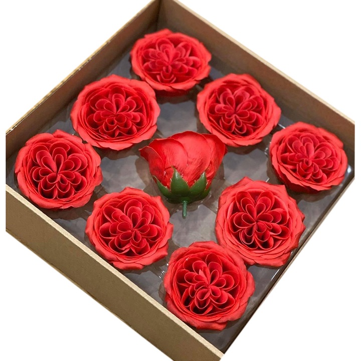 Trandafiri de sapun Austin rosu