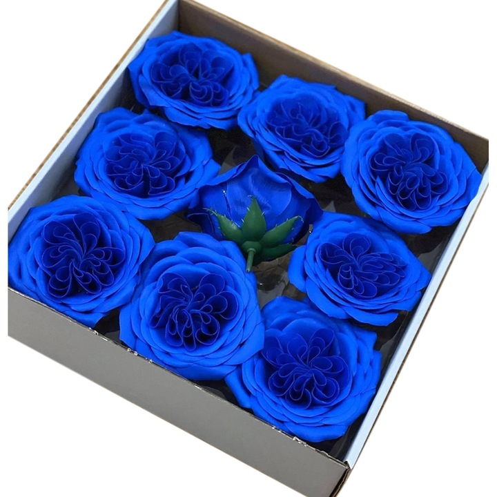 Trandafiri de sapun Austin blue