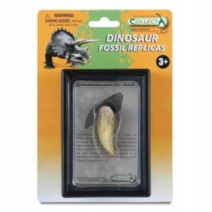 Figurina dinte Tyrannosaurus Rex, Collecta, Plastic, 3 ani, Alb/Maro