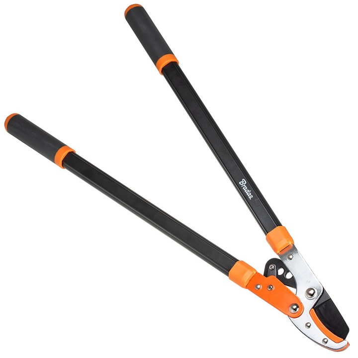 Foarfeca pentru crengi, Bradas, Portocaliu
