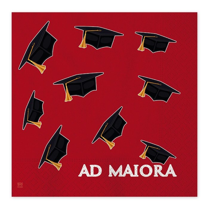 Servetele 33 x 33 cm Ad Maiora 16 buc/Set Big Party