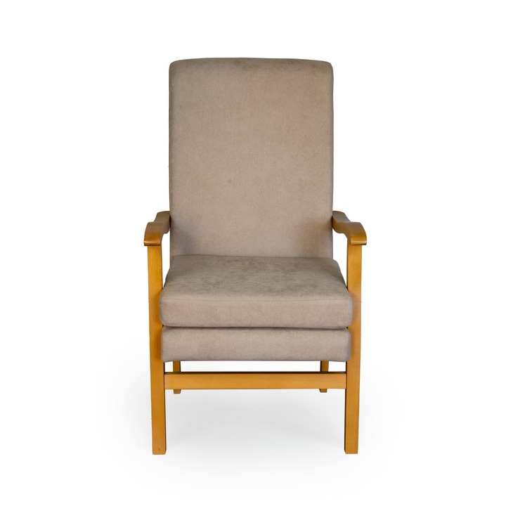 Fotoliu tapitat JBL cu perna detasabila