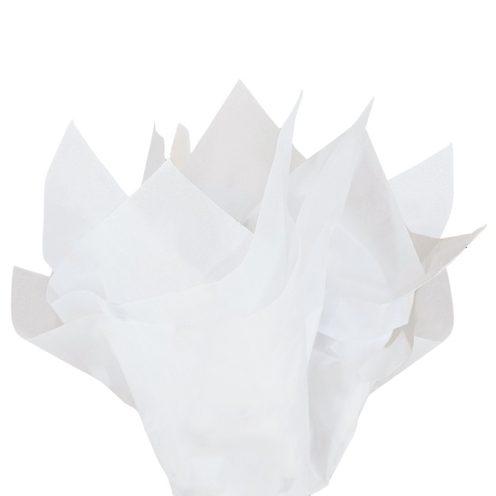 Set 50 bucati Hartie de matase SNOW WHITE, 17 g, 50 x 75cm