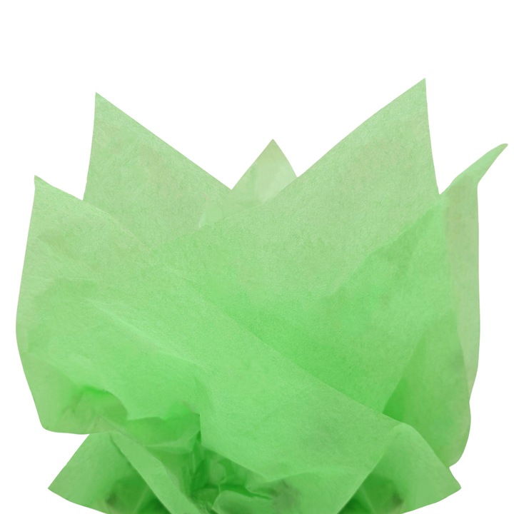 Set 50 bucati Hartie de matase GRASS GREEN, 17 gr, 50 x 75cm