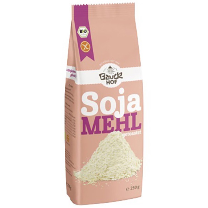 Faina De Soia Eco Bauckhof, fara gluten, 250g