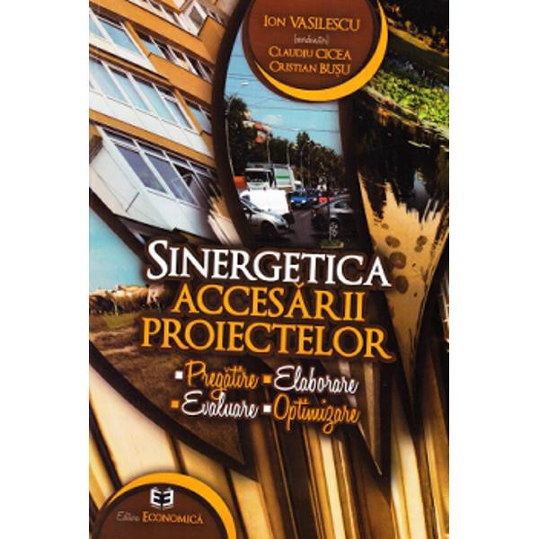 Sinergetica accesarii proiectelor - Ion Vasilescu, Claudiu Cicea, Cristian Busu