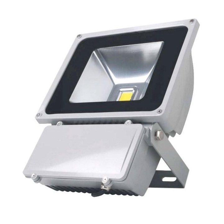 Leonard Reflektor, 100 W