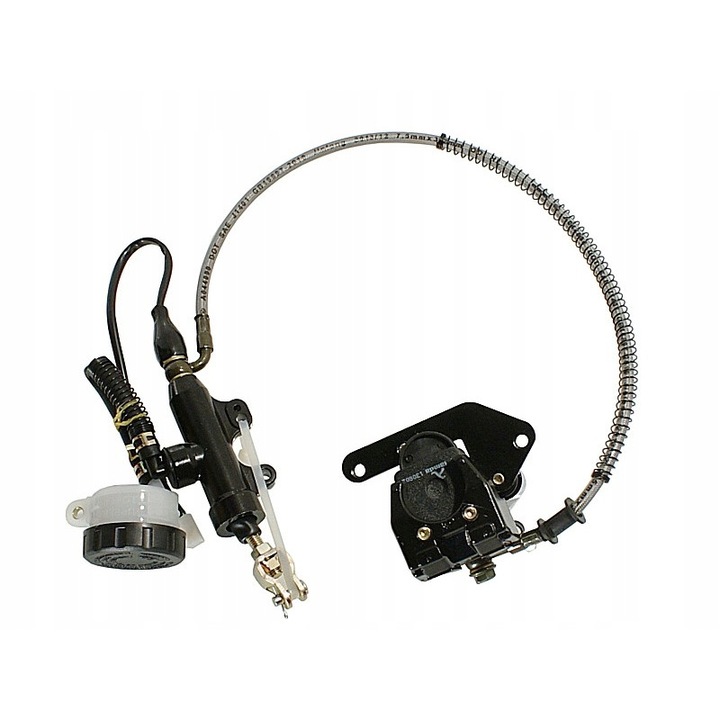 Pompa etrier sistem frana, Roy