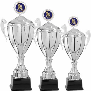 Cupe, trofee si medalii