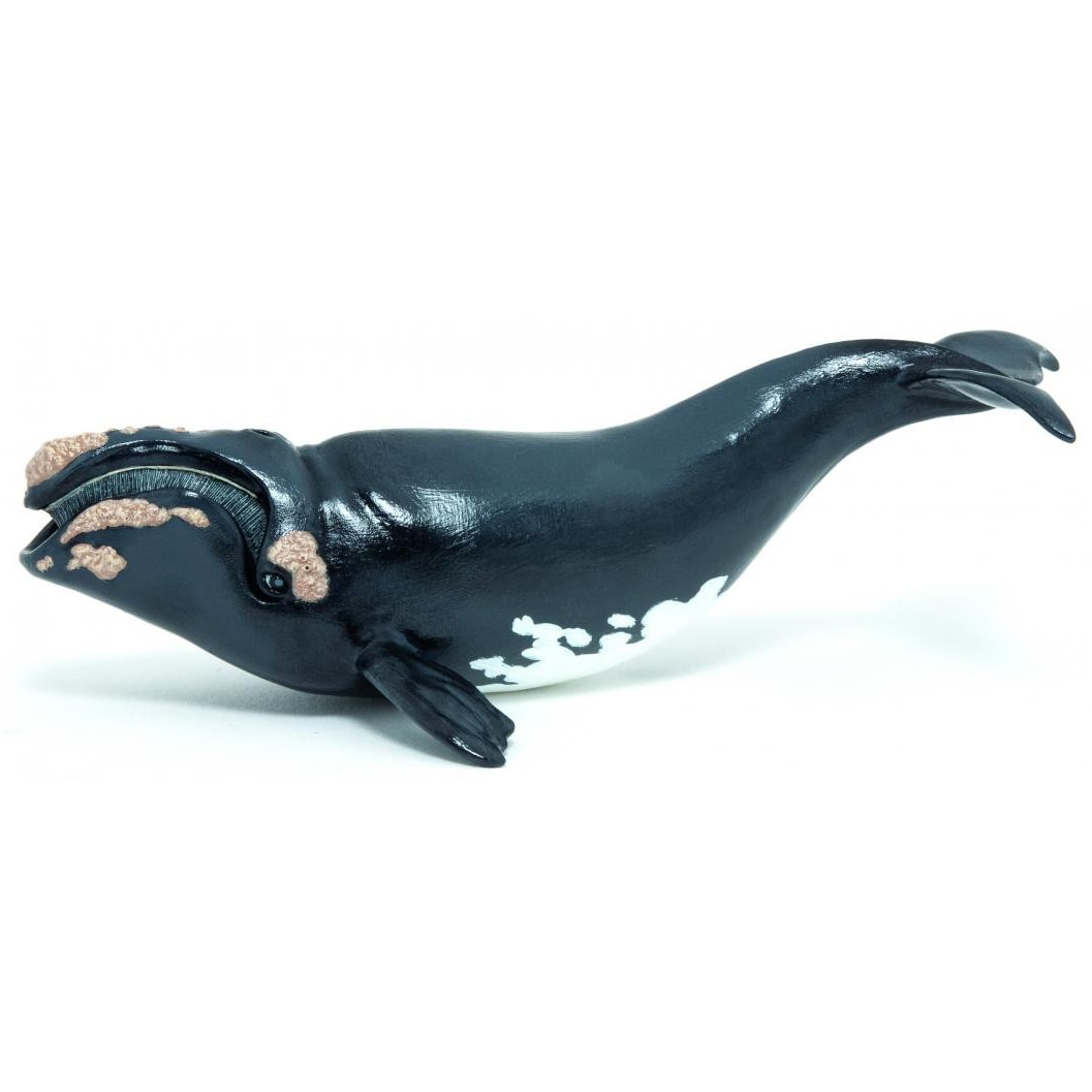 Papo figura - Vadállatok, Bálna - eMAG.hu