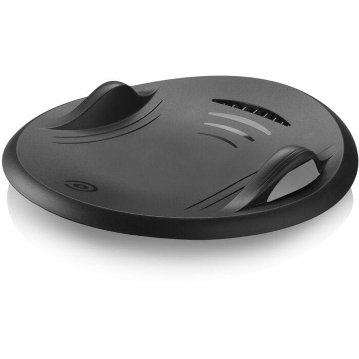 Sanie, Gizmo Riders, Antracit