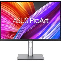 Monitor LED IPS Asus ProArt 24.1", WUXGA, Display Port, Vesa, Argintiu/Negru