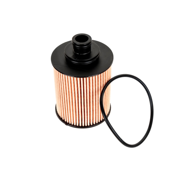 Маслен филтър Fiat/Opel/Suzuki, Filtron, 100 мм, 22 мм, 28 мм, 67 мм, Черен