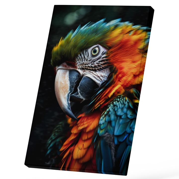 Tablou Canvas Cu Pasare Multicolora, Cioc In Doua Culori, Papagal Vorbitor, Fundal Negru, In Lumina, Animal Zburator, Iubitorii De Natura, 25x40 cm, Multicolor