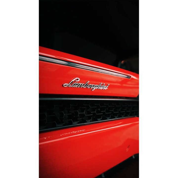 Картина на платно - Lamborghini Red Back, 30 x 40 cm