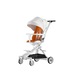 Product option