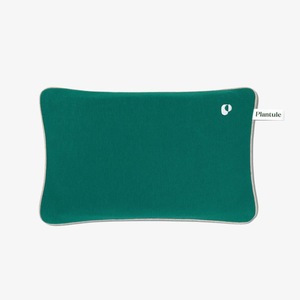 Incalzitoare corporale