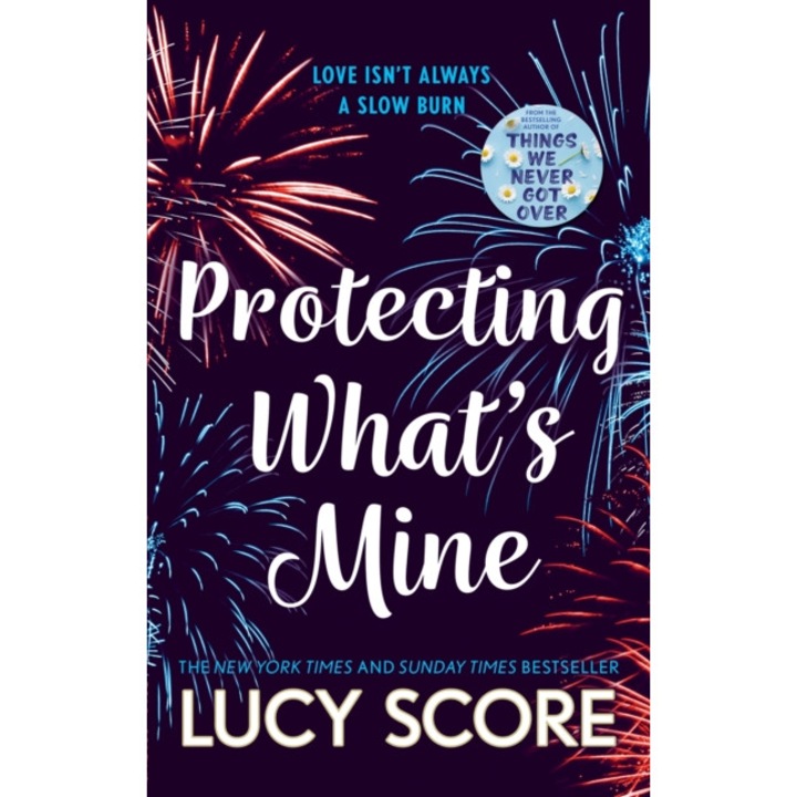 Protecting What's Mine de Lucy Score