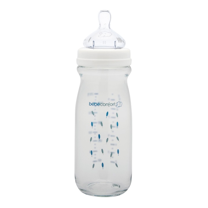 Biberon Bebe Confort Din Sticla 270ML
