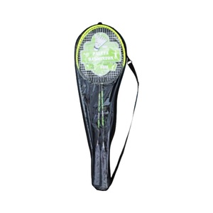 Rachete tenis si badminton
