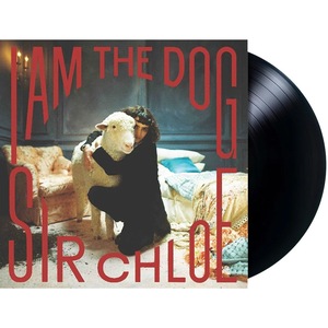 Vinyl-uri si cd-uri muzica