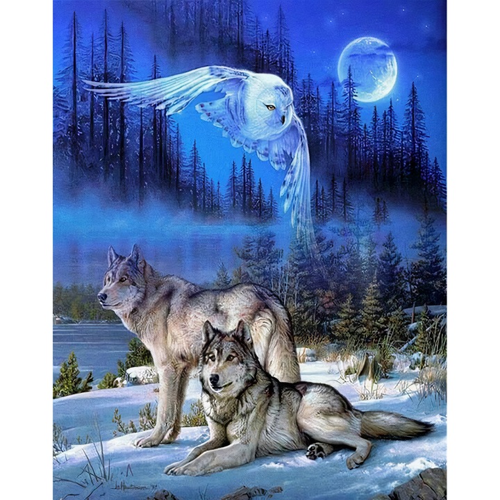 Set pictura pe numere - panza pe rama lemn 40x50 cm, GALAXIA® PBN1035, 3 pensule si vopsea acrilica