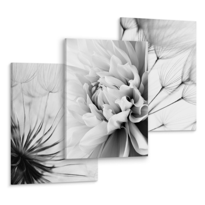 Set 3 Tablouri Decorative Flori alb-negru, Seminte de papadie 90x40cm: 3 piese 30x40cm