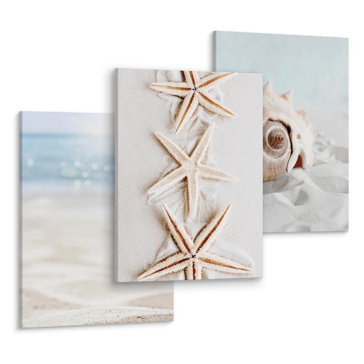 Set 3 Tablouri Decorative Peisaj Plaja si mare, Stele de mare, Scoici 90x40cm: 3 piese 30x40cm