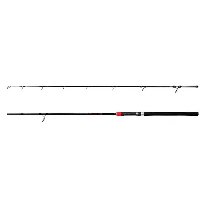 Lanseta spinning somn Delphin RIVERA NX 260 cm A: 150 g, actiune rapida