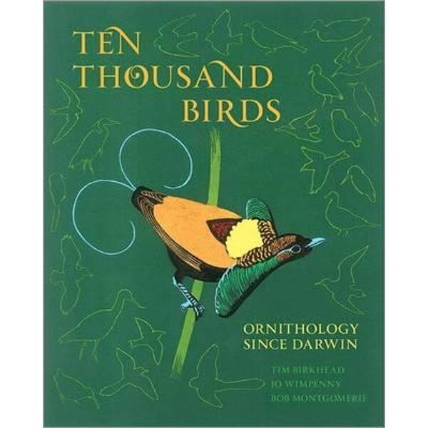 Ten Thousand Birds