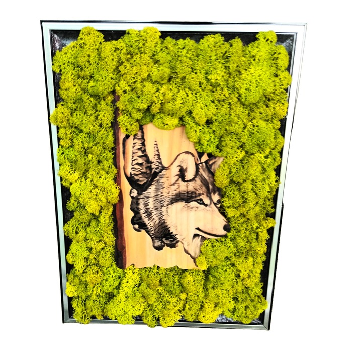 Decoratiune interior, tablou cu licheni stabilizati, lup in padure, 34x25, verde