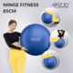 Minge fitness pentru exercitii gimnastica, yoga, aerobic, pilates, recuperare pompa inclusa, 120 kg, 85 cm, PVC, Albastru