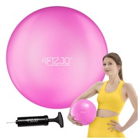 Mingea de exercitii Yoga si Pilates, exercitii in aer liber, exercitii de gimnastica, 4FIZJO, 22 cm, Roz