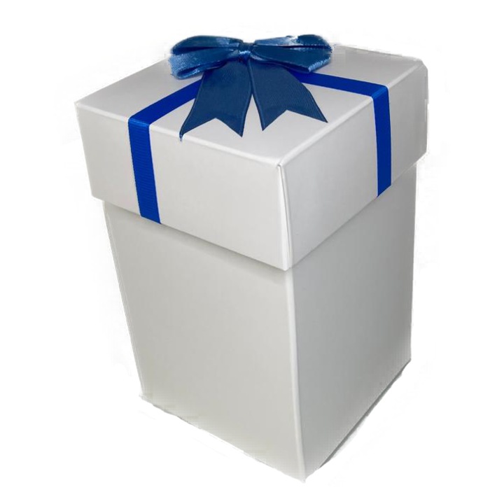 Cutie pentru cadou - Nicas - carton alb cu fundita albastra, 9X9X15 cm - tip Tr15