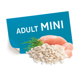 https://picartpetcare.com/wp-content/uploads/2023/05/Pastilla-lateral-Adult-Mini-e1683901024820.png