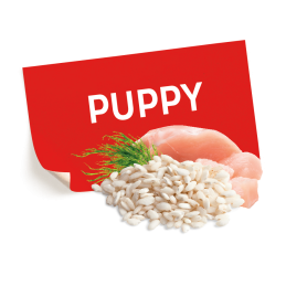 https://picartpetcare.com/wp-content/uploads/2023/05/PICTO-pollo-75x75.png