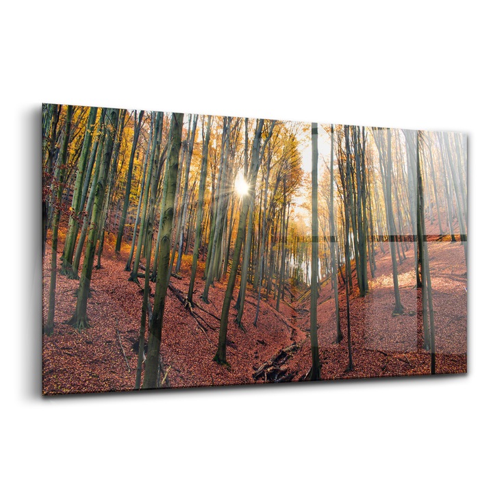 Tablou, Wallfluent, Sticla, Apus De Soare Si Copaci, Galben, 140x70 cm